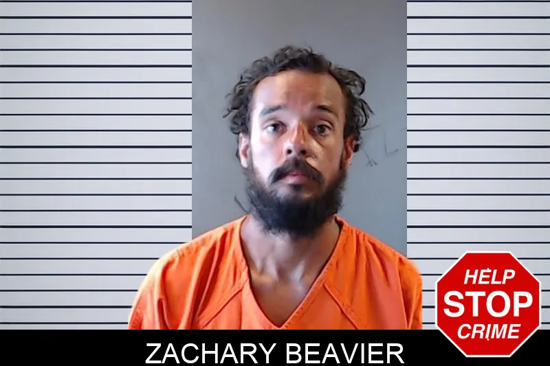 Zachary Beavier mugshot
