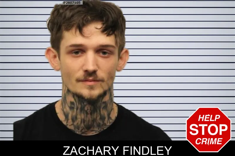 Zachary Findley mugshot – Chatham County , Georgia Zachary Findley mugshot