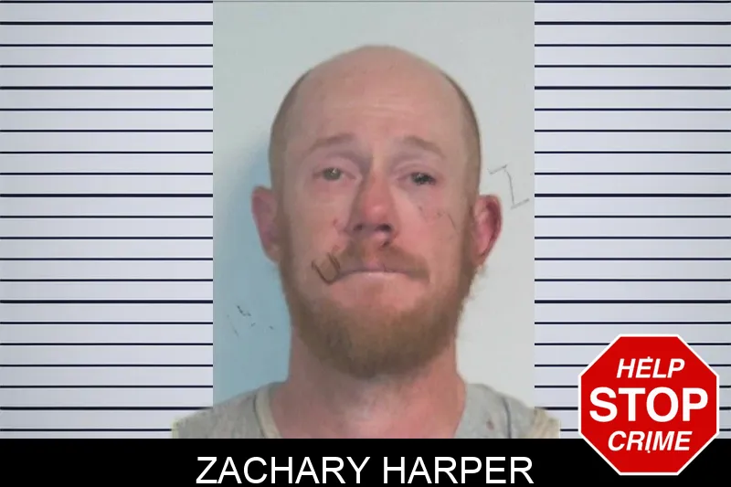 Zachary Harper mugshot