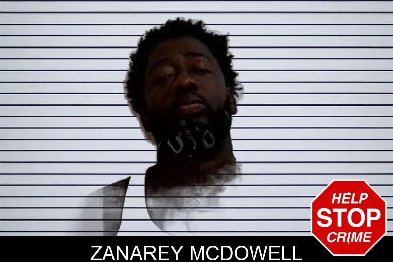 Zanarey McDowell mugshot