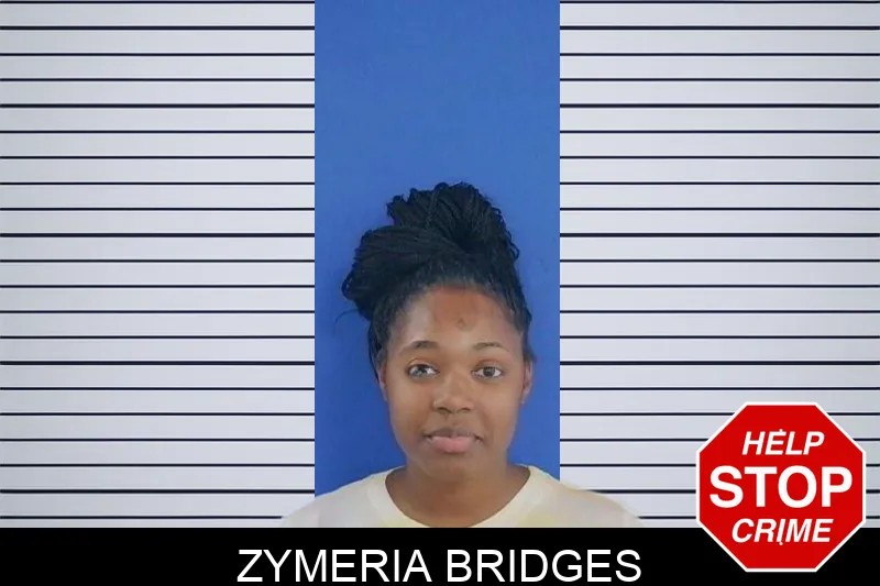 Zymeria Bridges mugshot