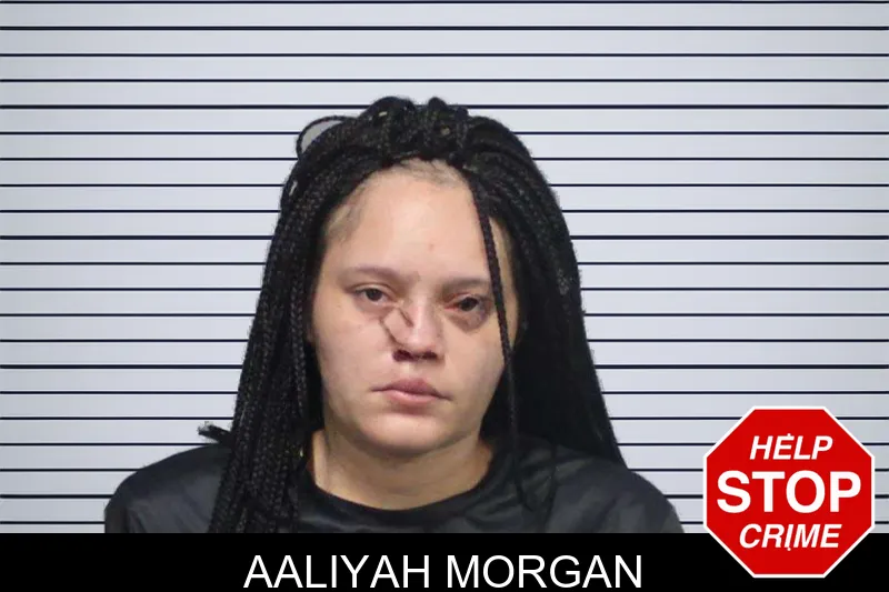 Aaliyah Morgan mugshot – White County , Georgia Aaliyah Morgan mugshot