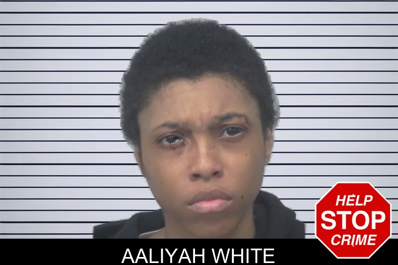 Aaliyah White mugshot – Gwinnett County , Georgia Aaliyah White mugshot