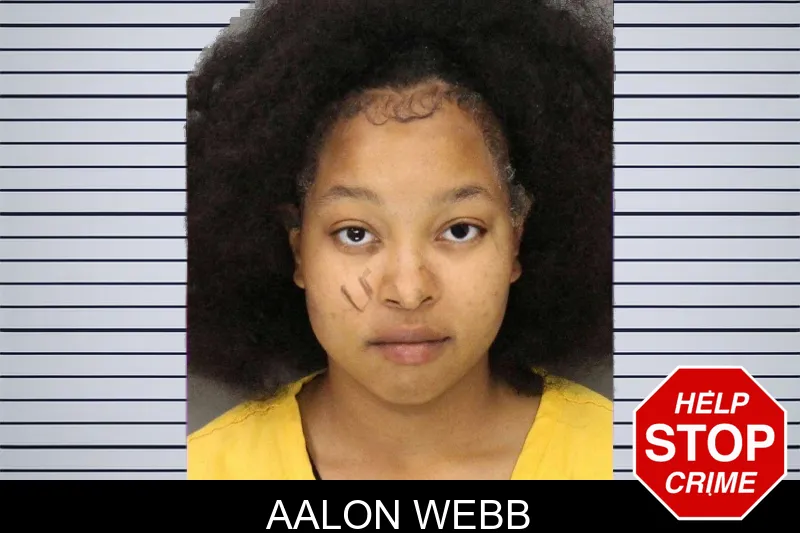 Aalon Webb mugshot