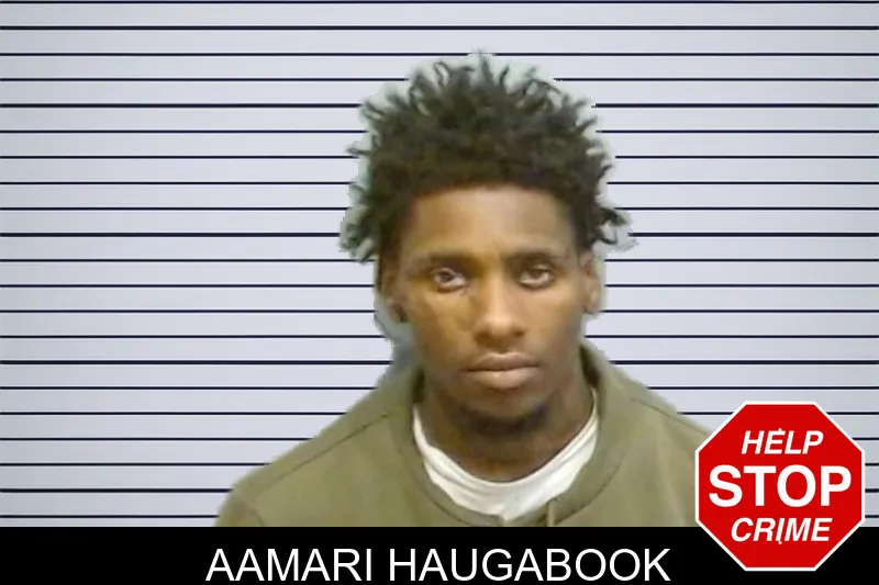 Aamari Haugabook mugshot – Fulton County , Georgia Aamari Haugabook mugshot