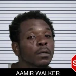 Aamir Walker mugshot – Wayne County , Georgia Aamir Walker mugshot