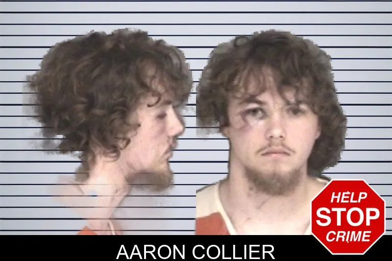 Aaron Collier mugshot