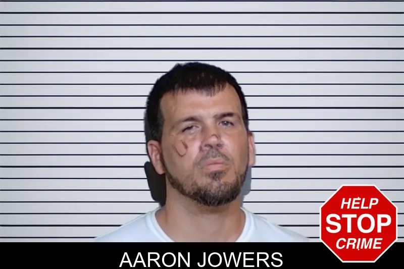 Aaron Jowers mugshot – Glynn County , Georgia Aaron Jowers mugshot