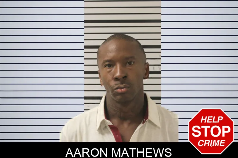 Aaron Mathews mugshot