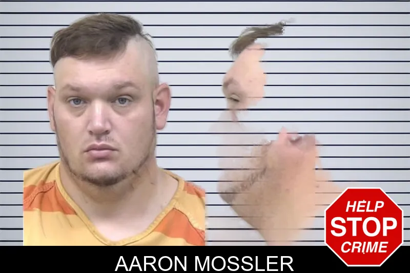 Aaron Mossler mugshot
