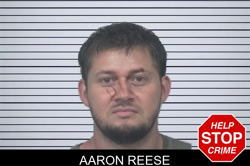 Aaron Reese mugshot