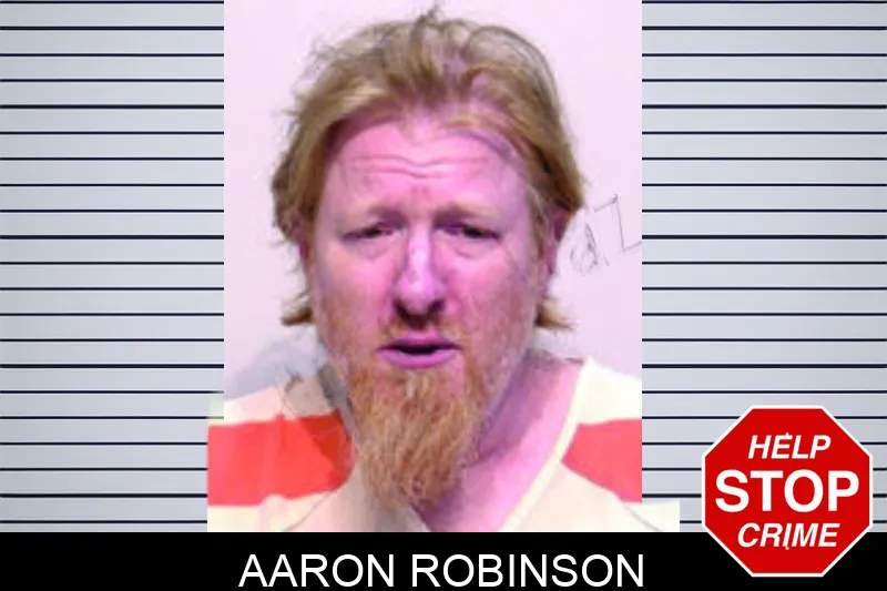 Aaron Robinson mugshot