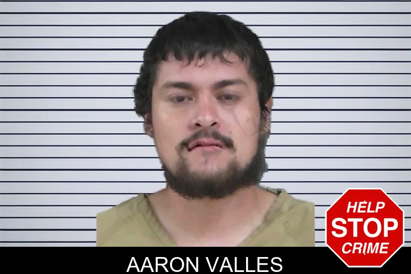 Aaron Valles mugshot