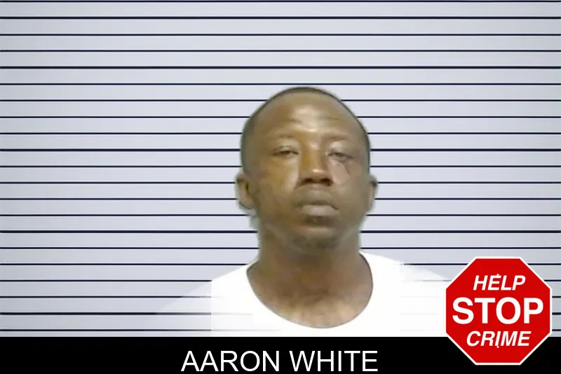 Aaron White mugshot – Fulton County , Georgia Aaron White mugshot