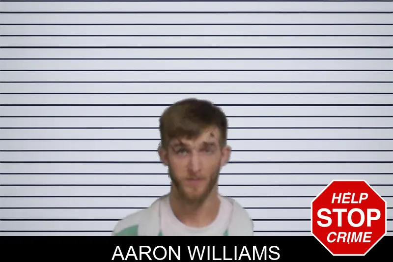 Aaron Williams mugshot