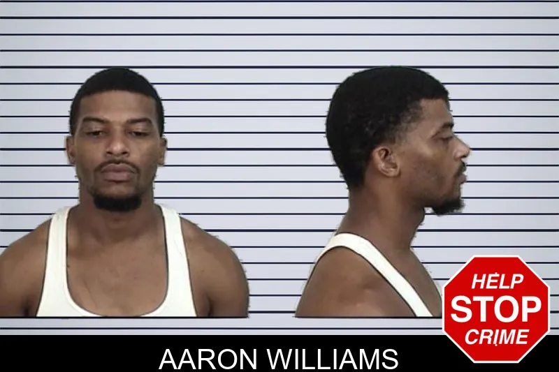 Aaron Williams mugshot – Camden County , Georgia Aaron Williams mugshot