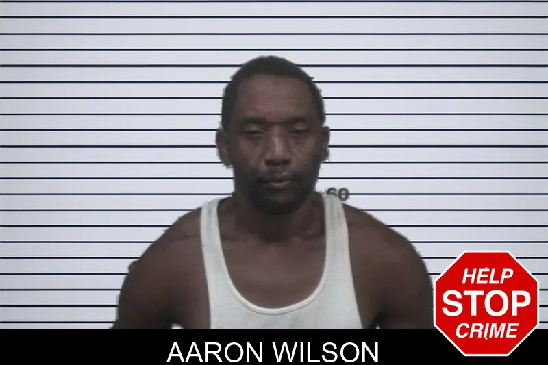 Aaron Wilson mugshot