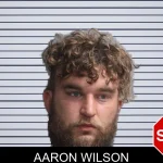 Aaron Wilson mugshot