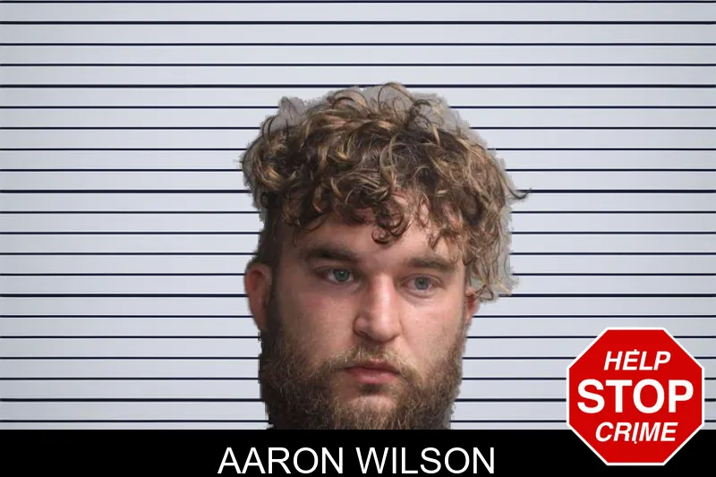 Aaron Wilson mugshot