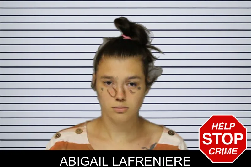 Abigail Lafreniere mugshot – Hall County , Georgia Abigail Lafreniere mugshot