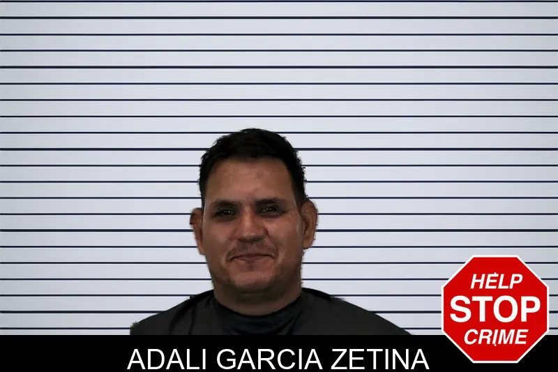 Adali Garcia Zetina mugshot – Hart County , Georgia Adali Garcia Zetina mugshot