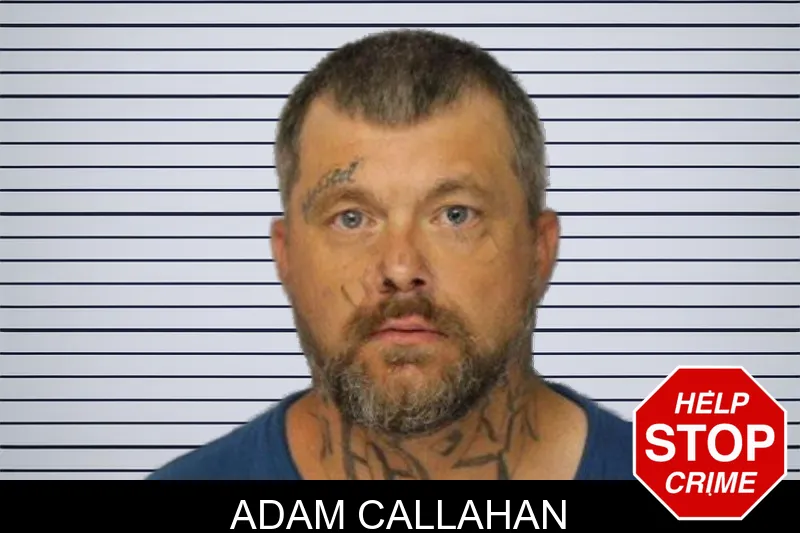Adam Callahan mugshot