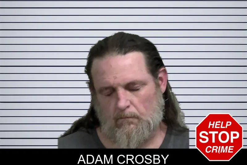 Adam Crosby mugshot – Wayne County , Georgia Adam Crosby mugshot
