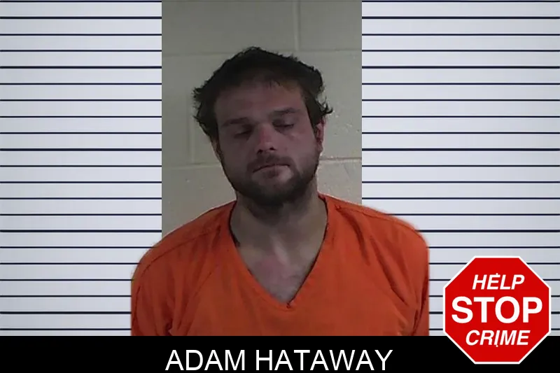 Adam Hataway mugshot