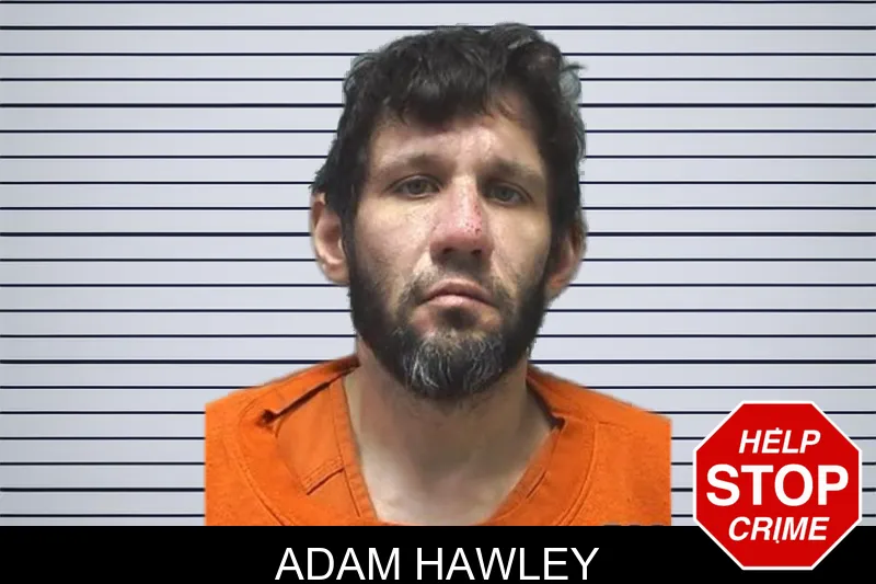 Adam Hawley mugshot