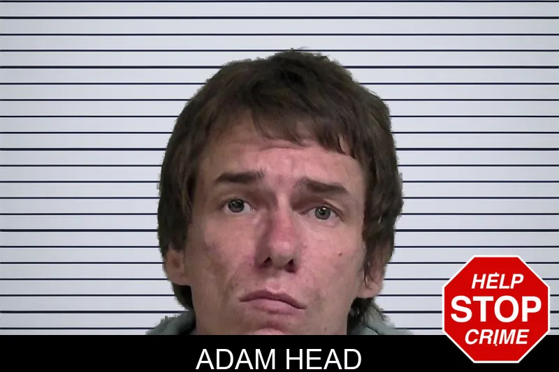 Adam Head mugshot – Wayne County , Georgia Adam Head mugshot
