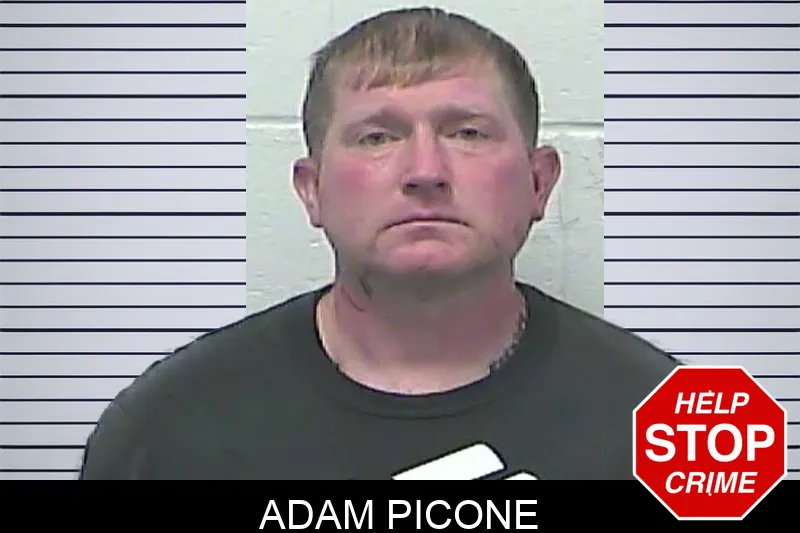 Adam Picone mugshot