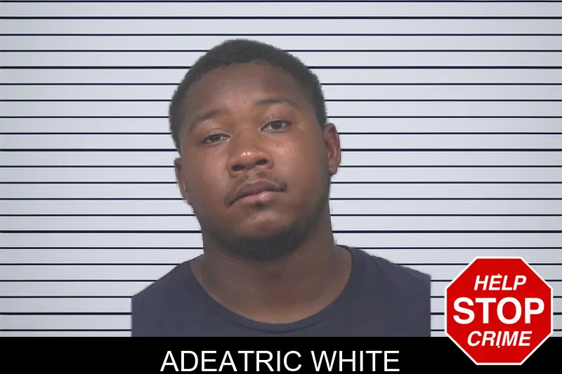 Adeatric White mugshot – Gwinnett County , Georgia Adeatric White mugshot