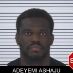 Adeyemi Ashaju mugshot