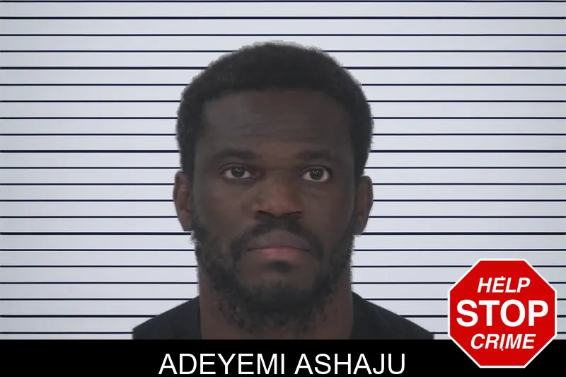 Adeyemi Ashaju mugshot