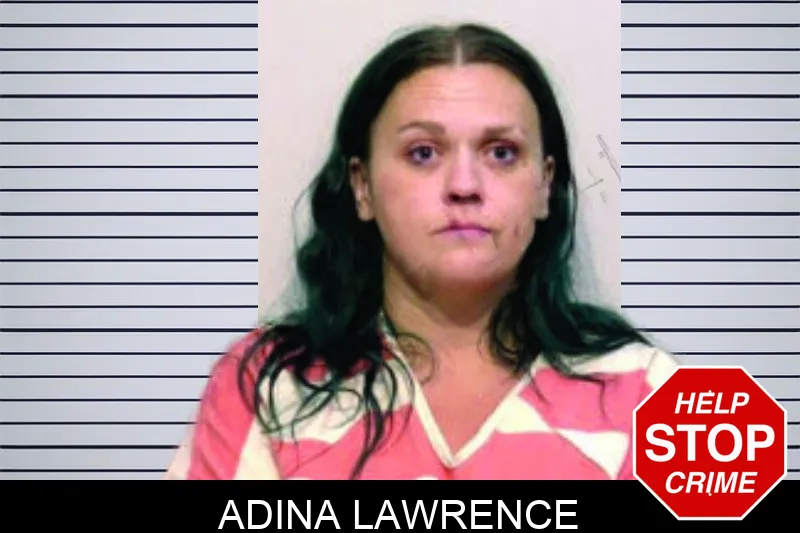 Adina Lawrence mugshot – Bartow County , Georgia Adina Lawrence mugshot