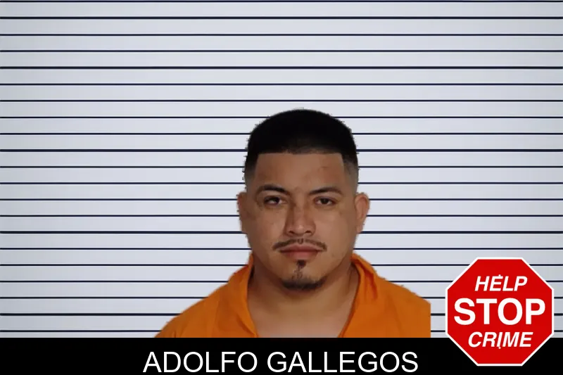 Adolfo Gallegos mugshot