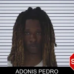 Adonis Pedro mugshot – Fayette County , Georgia Adonis Pedro mugshot