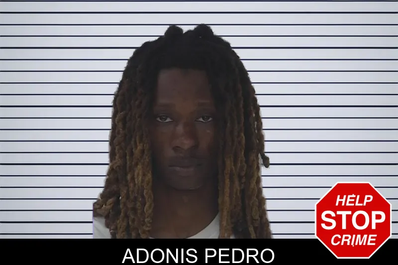 Adonis Pedro mugshot – Fayette County , Georgia Adonis Pedro mugshot