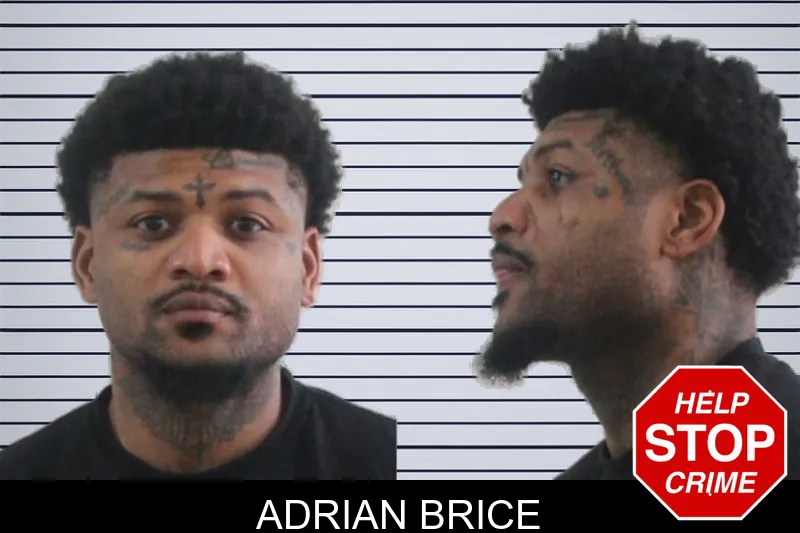 Adrian Brice mugshot – Houston County , Georgia Adrian Brice mugshot