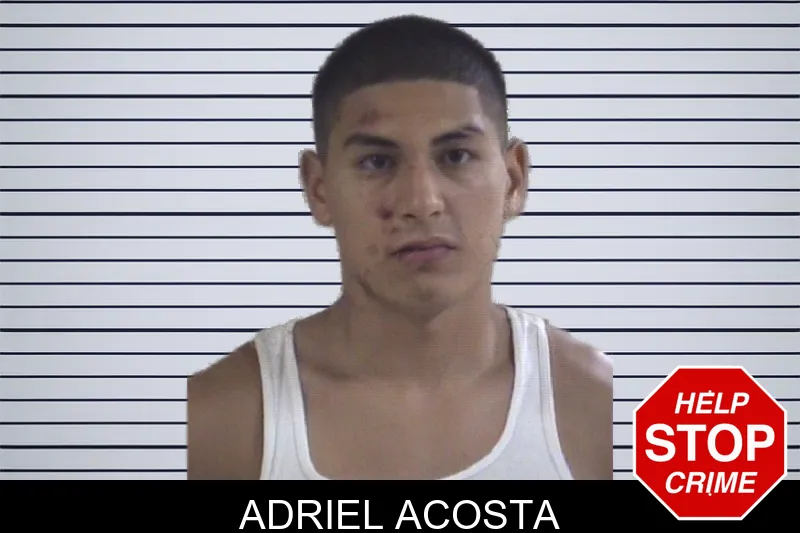 Adriel Acosta mugshot
