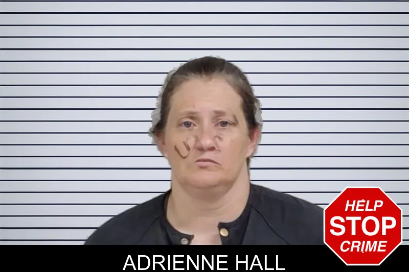 Adrienne Hall mugshot – Lowndes County , Georgia Adrienne Hall mugshot