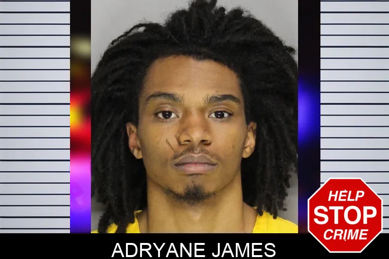Adryane James mugshot