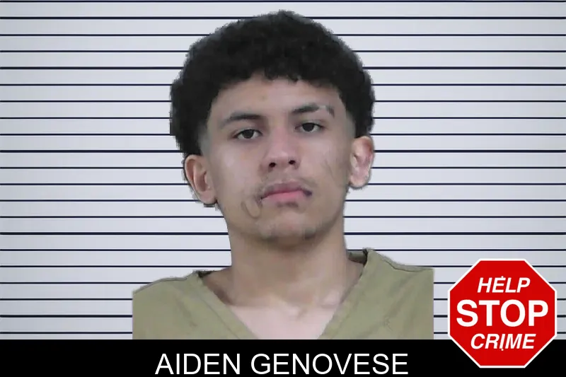 Aiden Genovese mugshot