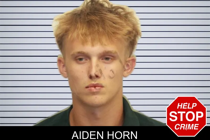 Aiden Horn mugshot