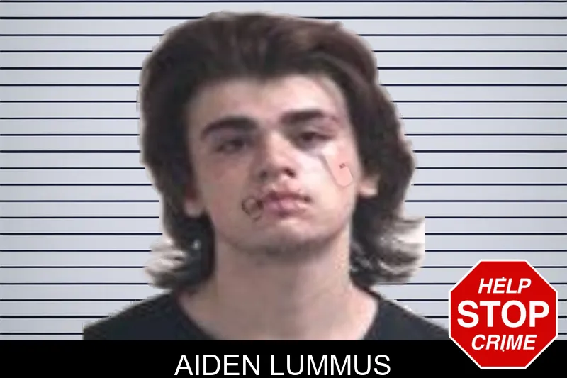 Aiden Lummus mugshot – Henry County , Georgia Aiden Lummus mugshot