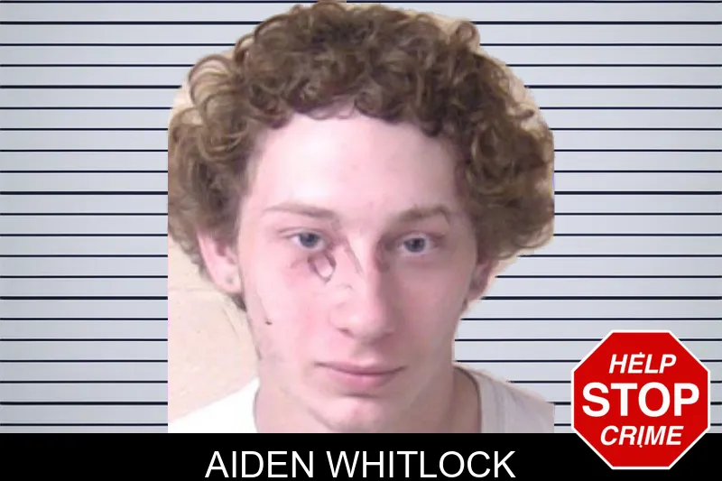 Aiden Whitlock mugshot – Walker County , Georgia Aiden Whitlock mugshot