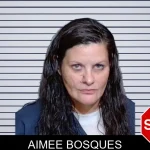 Aimee Bosques mugshot