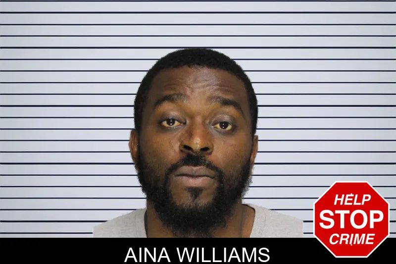 Aina Williams mugshot