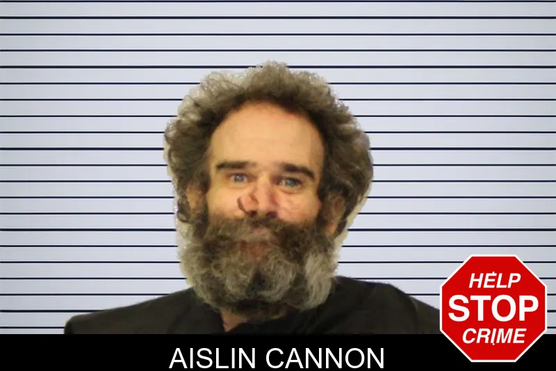 Aislin Cannon mugshot – Carroll County , Georgia Aislin Cannon mugshot