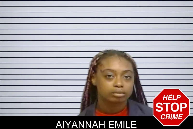 Aiyannah Emile mugshot – Fulton County , Georgia Aiyannah Emile mugshot